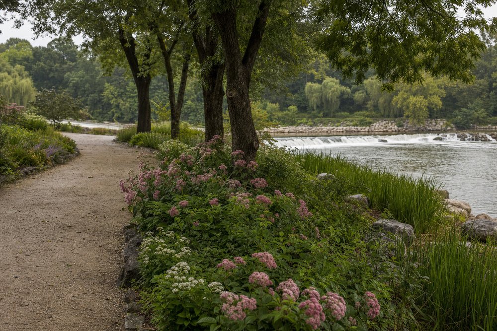Kiesweg mit blühenden Staudenbeeten am Ufer der Regnitz im ERBA-Park Bamberg, im Hintergrund ein Wehr