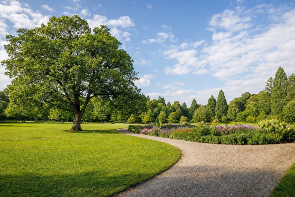 Weite Parkwiese mit einzelnem großen Baum, geschwungenem Kiesweg und Staudenbeeten an einem Sommertag
