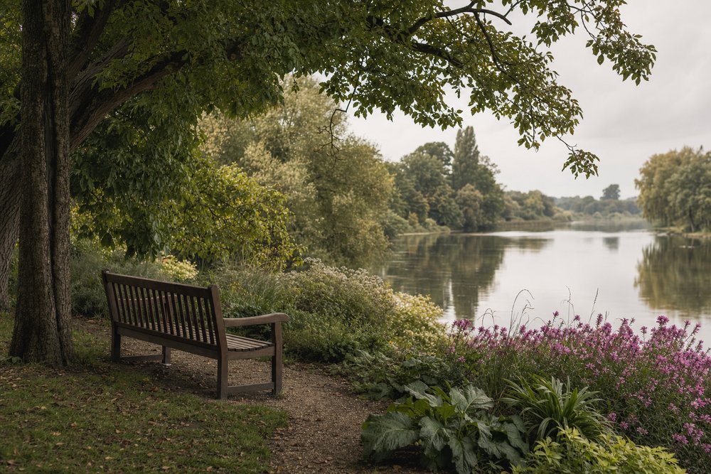 Ruhige Parkszene am Wasser: eine leere Holzbank an einem Kiesweg unter einem großen Baum, im Hintergrund die Regnitz mit weichen Spiegelungen